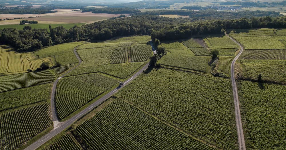 Balade insolite en Champagne 